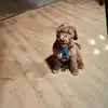 Brynlee - @brynlee_ellsworth - TikTok