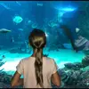 Emerson_lee - @leeemerson - TikTok