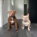 Sharna-Lee England - @sharnalee_nz - Instagram