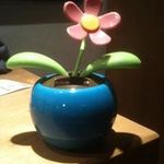 Lee Erwin - @leezhere - Instagram