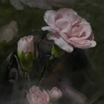 thipanan 𐦍 ₊˚ - @leefairykiss - Instagram