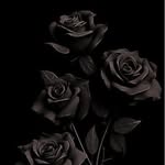Sherry Lee Fairfield - @slfairfield - Instagram