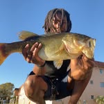 Mr.Nonchalant - @fishman_lee - Instagram