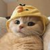 Flora Lee - Facebook