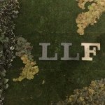 lee lee's forest - @leeleesforest - Instagram