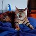 Lee Freitas - Facebook