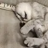Frey Lee - @frey.lee2 - TikTok