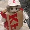 布艾窝久拉岛 - @gammonlee - TikTok