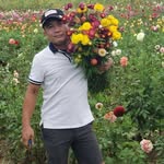 Toan Nguyen - @leegardenusa - Instagram