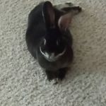 Hgquicky - @hunter_lee_garvey - Instagram