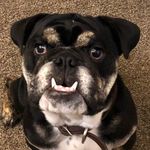 Lee Gilliam - @leegilliam1967 - Instagram