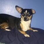Lee - @lee_gilliam14 - Instagram