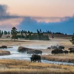 Jess Lee-Tamara Gooch Lee - @westernphotographers - Instagram