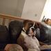 Lee Goodin - Facebook