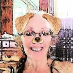 Lee Goodin - @lee.goodin.58 - Instagram