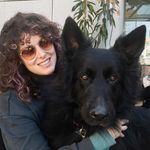 Lee Gorman - @tigerleelee3186 - Instagram