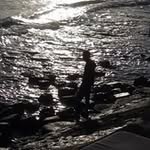 Lee S Gorman - @leesgorman - Instagram