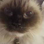 Lee Gresham - @lrgresham1 - Instagram