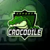 ＫＲＯＣＡＤＩＬＥＥ - @krocadilee.guild - TikTok