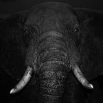 Lee Gwin - @rlgwin - Instagram