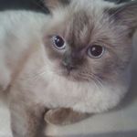 이귀남 - @leegwinam - Instagram