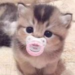 Minh Hoàng - @_lee.gwinam - Instagram