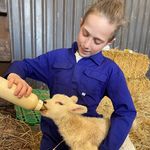 Lee Halford - @leehalford1 - Instagram