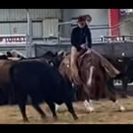 Lee Halpin-Bishop - @giddyuplee - Instagram