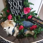 Nicole Lee Halvorson - @nikkiandtheboys_04 - Instagram