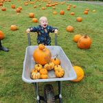 Lee Hamblin - @lee.hamblin - Instagram