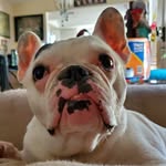 Lee Hambly - @kalanth - Instagram