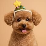 李漢堡 - @1101012_hamburger_lee - Instagram
