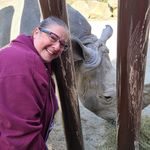 Lee Ann Hamel Orsalock - @taltoslmo - Instagram