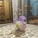 Tommy Lee Holmes - Facebook