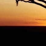 Lee_Hamrick_ - @lee_hamrick_v - Instagram
