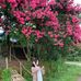 Lee Hang - Facebook