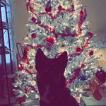 Cory Lee Harbin - @coryharbin980 - Instagram
