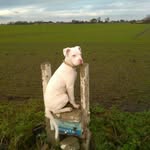 Bruce Lee Hardcastle - @bruce.hardcastle - Instagram