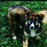abby lee hardwick - @abby_lee_hardwick - Instagram