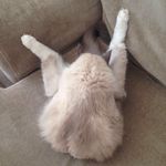 Lee Hardwick - @leehardwick1999 - Instagram