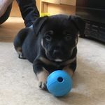 Lee Harley - @staff_mix_zeus - Instagram