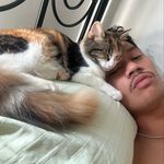 Lee Harmon - @lee__harmon - Instagram