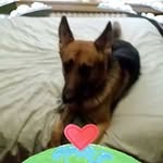 Lee Harmon - @lee.harmon.566 - Instagram