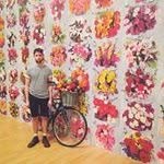 Lee Armstrong - @lee.h.armstrong - Instagram