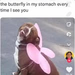 Memphis lee harms - @mlh2021 - Instagram