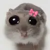 Lee - @lee.harp - TikTok