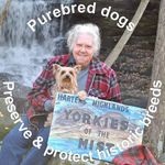 Donna Lee Bower-Harter - @bowerharter - Instagram