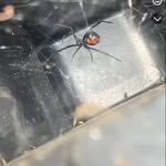 Lee Harwell - @ftwlafwtf - Instagram