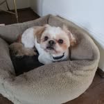 Dorothy Barbara Lee Haskins - @dorothybarbaraleehaskins - Instagram