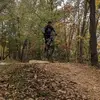 leehaskins - @leehaskins - TikTok